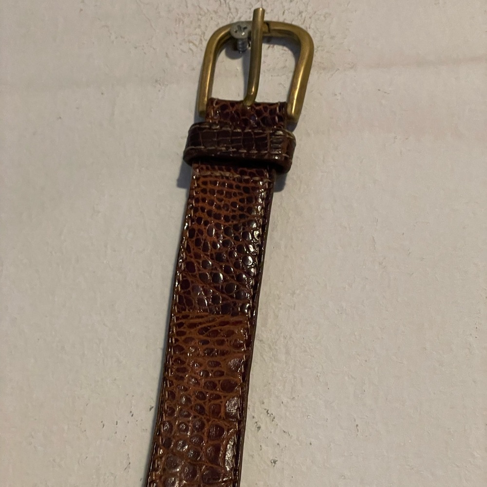 Ritzy Crocodile Brown Belt
